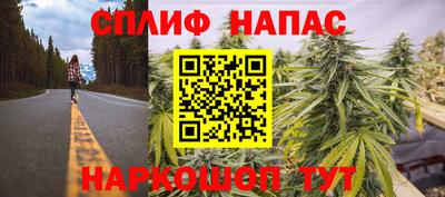 гашик Пенза