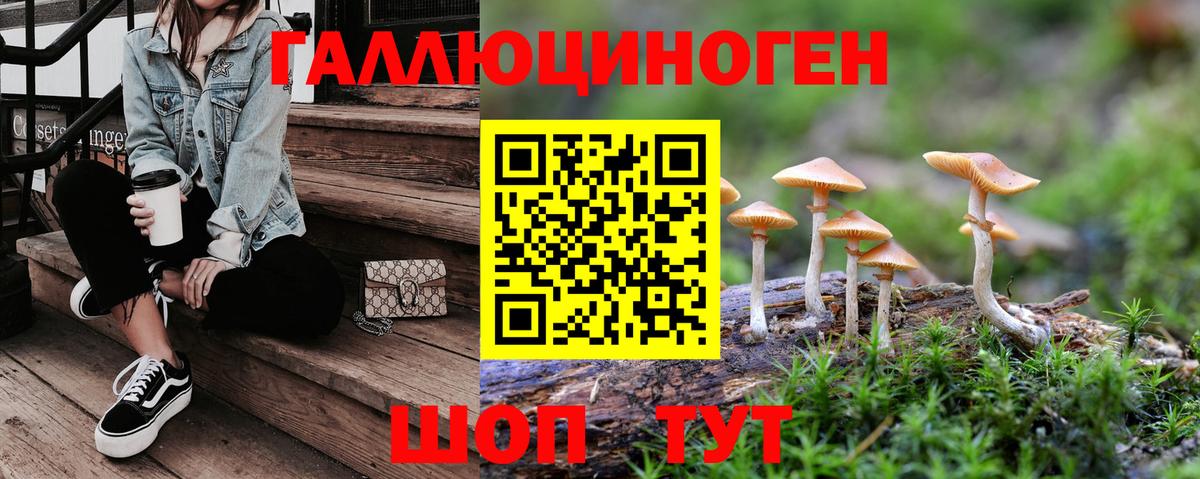 Галлюциногенные грибы прущие грибы Скопин