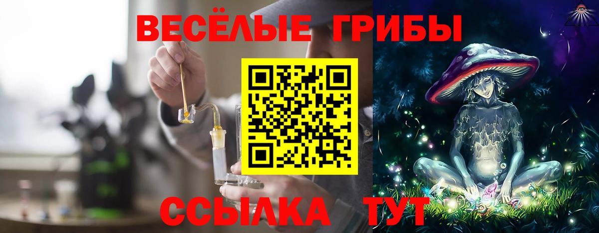 закладки  Галлюциногенные грибы Psilocybe  Вход с VPN  Псилоцибиновые грибы Magic Shrooms  Скопин 